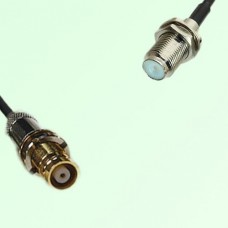 75ohm 1.6/5.6 DIN Female to F Bulkhead Female Coax Cable Assembly