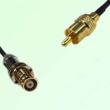 75ohm 1.6/5.6 DIN Female to RCA Male Coax Cable Assembly