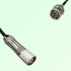 75ohm 1.6/5.6 DIN Male to Mini BNC Male Coax Cable Assembly