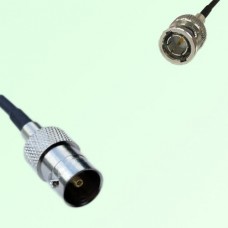 75ohm BNC Female to Mini BNC Male Coax Cable Assembly