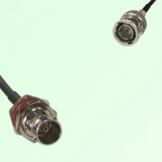 75ohm BNC Bulkhead Female to Mini BNC Male Coax Cable Assembly