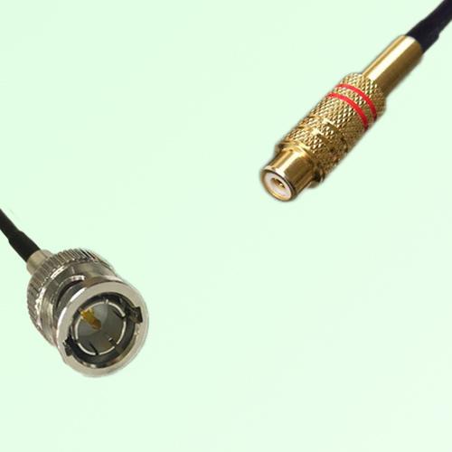 75ohm BNC Male to RCA Female Coax Cable Assembly