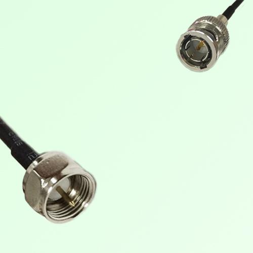 75ohm F Male to Mini BNC Male Coax Cable Assembly