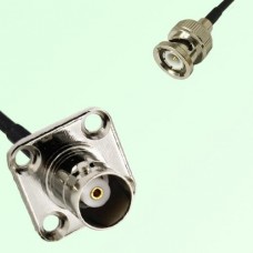 BNC Female 4 Hole Panel Mount to BNC Male  RF Cable Assembly