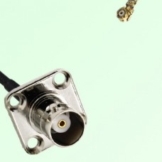 BNC Female 4 Hole Panel Mount to IPEX  RF Cable Assembly
