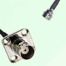 BNC Female 4 Hole Panel Mount to QN Male  RF Cable Assembly
