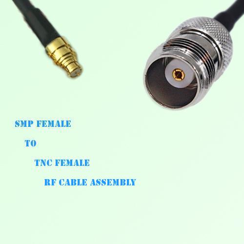 SMP Female to TNC Female RF Cable Assembly