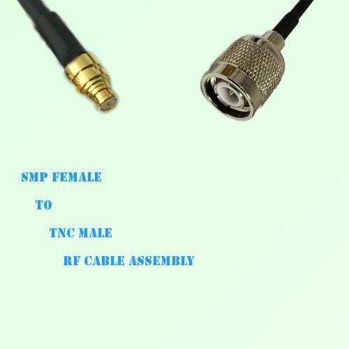 SMP Female to TNC Male RF Cable Assembly