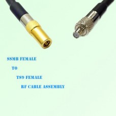 SSMB Female to TS9 Female RF Cable Assembly