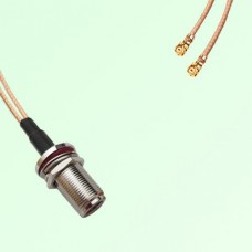 Splitter Y Type Cable N Bulkhead Female to IPEX Default