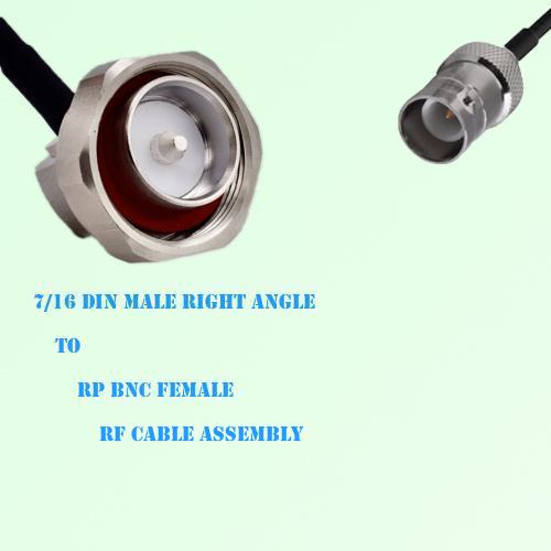 7/16 DIN Male Right Angle to RP BNC Female RF Cable Assembly 7/16 DIN Male Right Angle to RP BNC Female RF Cable Assembly