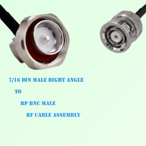 7/16 DIN Male Right Angle to RP BNC Male RF Cable Assembly 7/16 DIN Male Right Angle to RP BNC Male RF Cable Assembly
