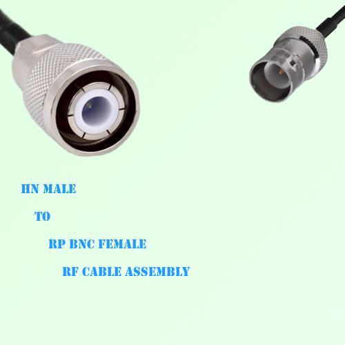 HN Male to RP BNC Female RF Cable Assembly HN Male to RP BNC Female RF Cable Assembly