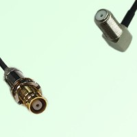 75ohm 1.6/5.6 DIN Female to F Bulkhead Female R/A Coax Cable Assembly