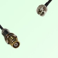 75ohm 1.6/5.6 DIN Female to F Male Coax Cable Assembly