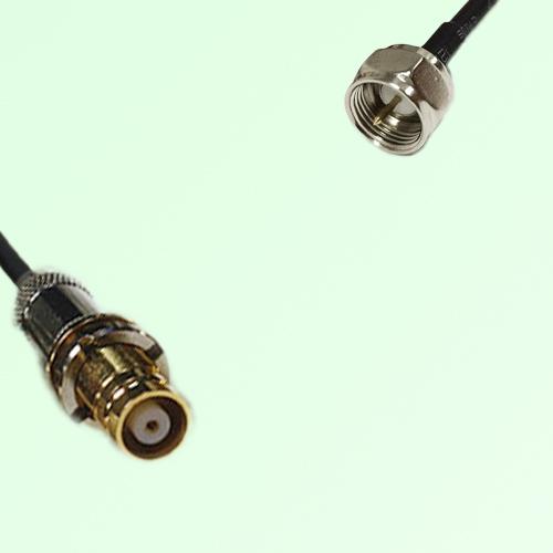 75ohm 1.6/5.6 DIN Female to F Male Coax Cable Assembly 75ohm 1.6/5.6 DIN Female to F Male Coax Cable Assembly