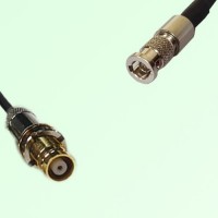 75ohm 1.6/5.6 DIN Female to HD-BNC Male Coax Cable Assembly
