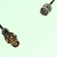 75ohm 1.6/5.6 DIN Female to Mini BNC Male Coax Cable Assembly