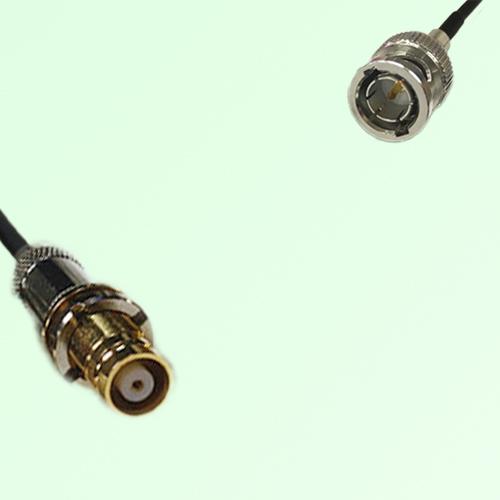 75ohm 1.6/5.6 DIN Female to Mini BNC Male Coax Cable Assembly 75ohm 1.6/5.6 DIN Female to Mini BNC Male Coax Cable Assembly