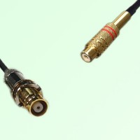 75ohm 1.6/5.6 DIN Female to RCA Female Coax Cable Assembly