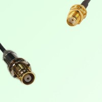 75ohm 1.6/5.6 DIN Female to SMA Bulkhead Female Coax Cable Assembly