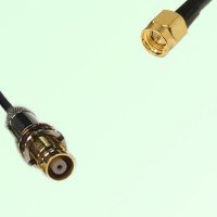 75ohm 1.6/5.6 DIN Female to SMA Male Coax Cable Assembly