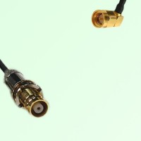 75ohm 1.6/5.6 DIN Female to SMA Male Right Angle Coax Cable Assembly
