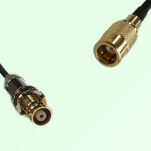 75ohm 1.6/5.6 DIN Female to SMB Female Coax Cable Assembly 75ohm 1.6/5.6 DIN Female to SMB Female Coax Cable Assembly