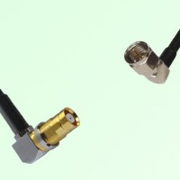 75ohm 1.6/5.6 DIN Female R/A to F Male R/A Coax Cable Assembly