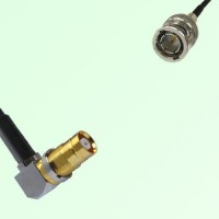 75ohm 1.6/5.6 DIN Female R/A to Mini BNC Male Coax Cable Assembly