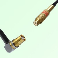 75ohm 1.6/5.6 DIN Female Right Angle to RCA Female Coax Cable Assembly 75ohm 1.6/5.6 DIN Female Right Angle to RCA Female Coax Cable Assembly