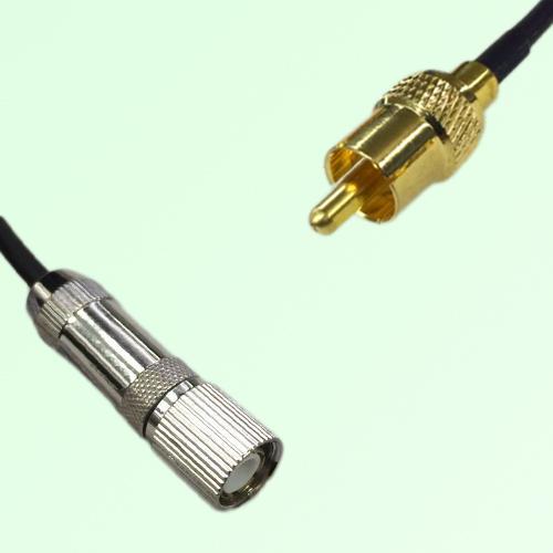 75ohm 1.6/5.6 DIN Male to RCA Male Coax Cable Assembly 75ohm 1.6/5.6 DIN Male to RCA Male Coax Cable Assembly