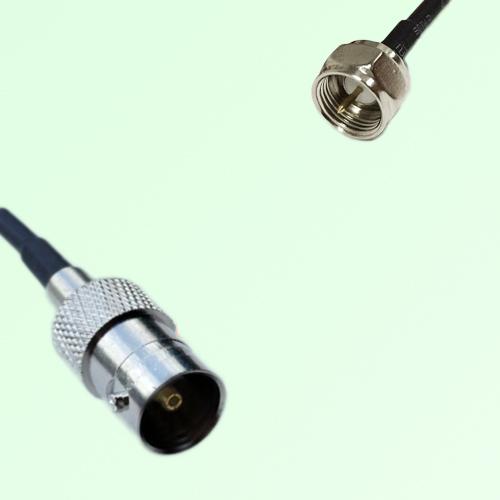 75ohm BNC Female to F Male Coax Cable Assembly 75ohm BNC Female to F Male Coax Cable Assembly