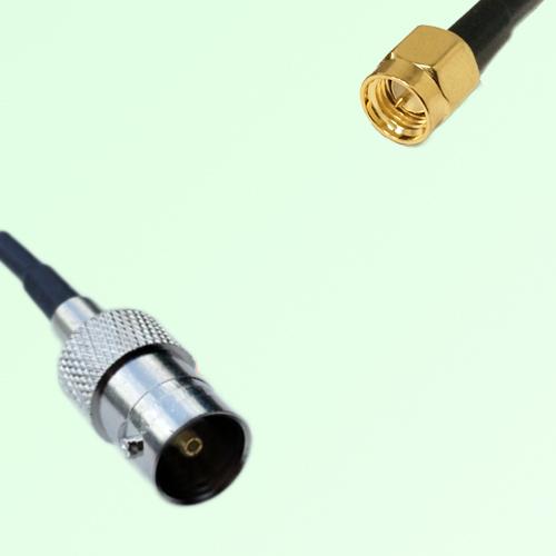 75ohm BNC Female to SMA Male Coax Cable Assembly
