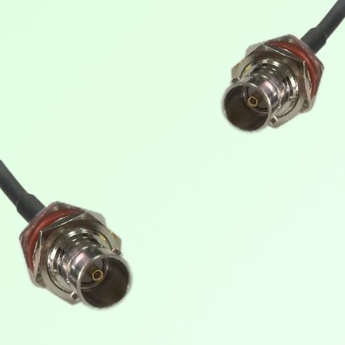 75ohm BNC Bulkhead Female to BNC Bulkhead Female Coax Cable Assembly 75ohm BNC Bulkhead Female to BNC Bulkhead Female Coax Cable Assembly