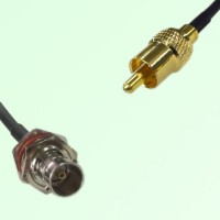 75ohm BNC Bulkhead Female to RCA Male Coax Cable Assembly
