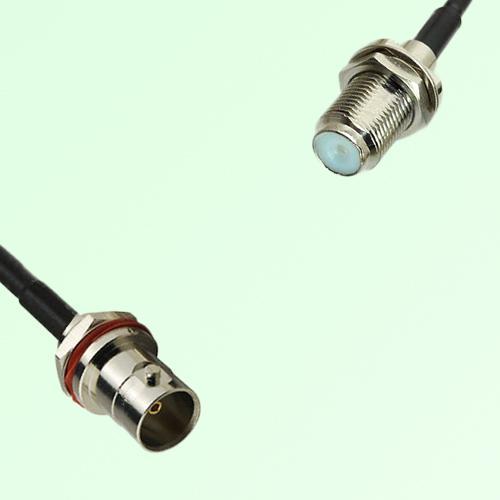 75ohm BNC Front Mount B/H Female to F B/H Female Cable Assembly