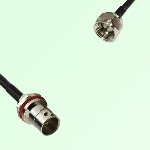 75ohm BNC Front Mount Bulkhead Female to F Male Coax Cable Assembly 75ohm BNC Front Mount Bulkhead Female to F Male Coax Cable Assembly