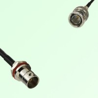 75ohm BNC Front Mount Bulkhead Female to Mini BNC Male Cable Assembly