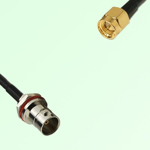 75ohm BNC Front Mount Bulkhead Female to SMA Male Coax Cable Assembly