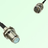 75ohm F Bulkhead Female to Mini BNC Male Coax Cable Assembly