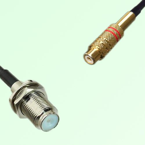 75ohm F Bulkhead Female to RCA Female Coax Cable Assembly 75ohm F Bulkhead Female to RCA Female Coax Cable Assembly