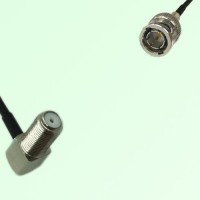 75ohm F Bulkhead Female R/A to Mini BNC Male Coax Cable Assembly