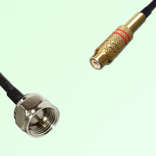 75ohm F Male to RCA Female Coax Cable Assembly 75ohm F Male to RCA Female Coax Cable Assembly