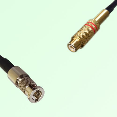 75ohm HD-BNC Male to RCA Female Coax Cable Assembly 75ohm HD-BNC Male to RCA Female Coax Cable Assembly