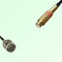 75ohm Mini BNC Male to RCA Female Coax Cable Assembly