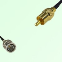 75ohm Mini BNC Male to RCA Male Coax Cable Assembly