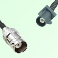 FAKRA SMB G 7031 grey Male Plug to BNC Female Jack Cable