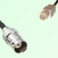 FAKRA SMB I 1001 beige Male Plug to BNC Female Jack Cable