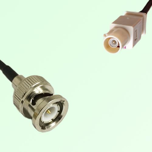 FAKRA SMB I 1001 beige Male Plug to BNC Male Plug Cable
